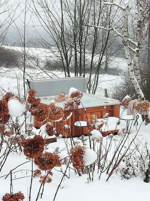 Gite De Charme 5 Etoiles Pour Couple Avec Sauna Et Jacuzzi Exterieurs Privatifs Peaugres Ngoại thất bức ảnh